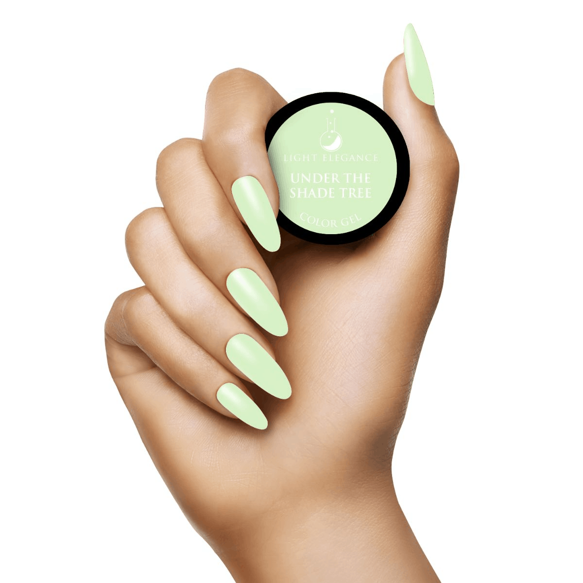 Under the Shade Tree