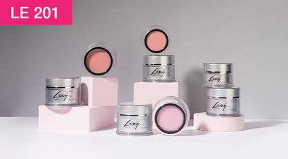 LE 201 | PROFESSIONAL SHAPING & EXTENSIONS